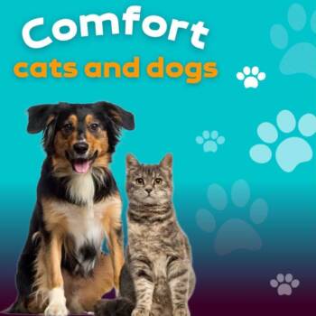 Comfort cats and dogs