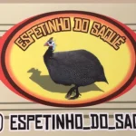 Espetinho do saqué