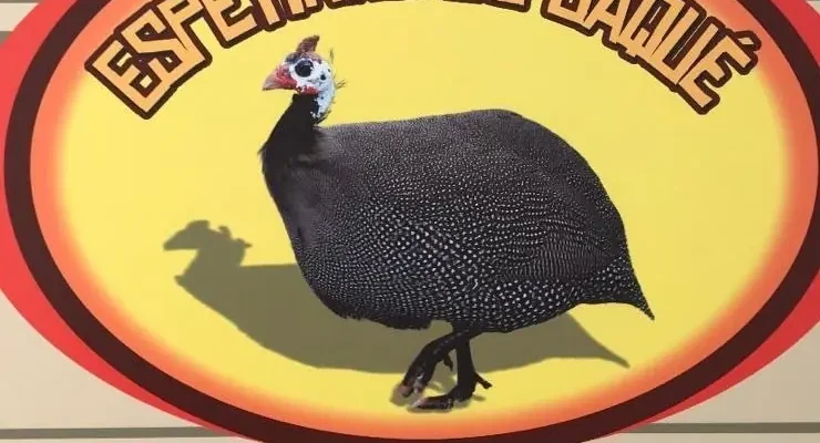 Espetinho do saqué